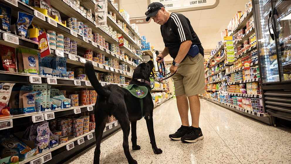 CHAMP Assistance Dogs graduate demonstrating public access skills with handler in a grocery store setting.