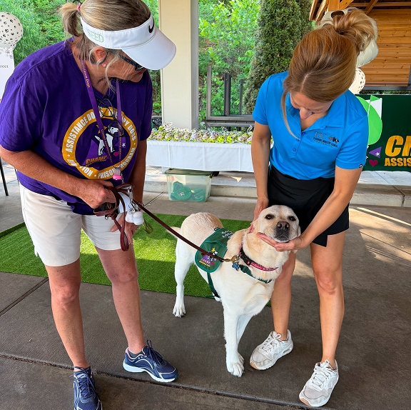 A yellow Labrador retriever wearing a green CHAMP vest stands on a leash as a woman in a blue polo shirt smiles and pets its head during an outdoor community event.
