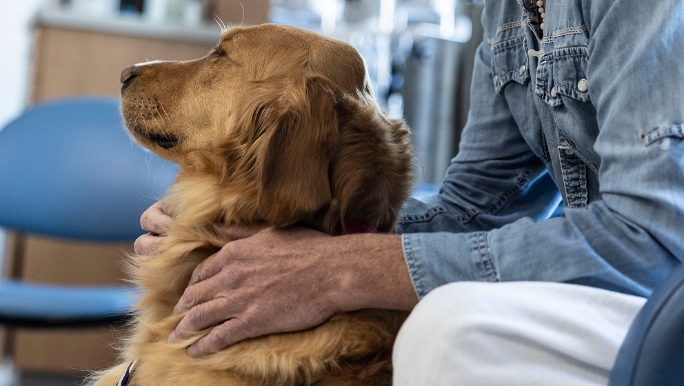 CHAMP Assistance Dogs therapy dog sharing a quiet, comforting embrace with a patient.