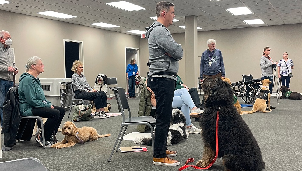A group of handlers and volunteers sit and stand with a variety of service dogs in training, including standard doodles, a golden retriever, and a yellow labrador retriever, during a CHAMP group training session in a large indoor classroom.