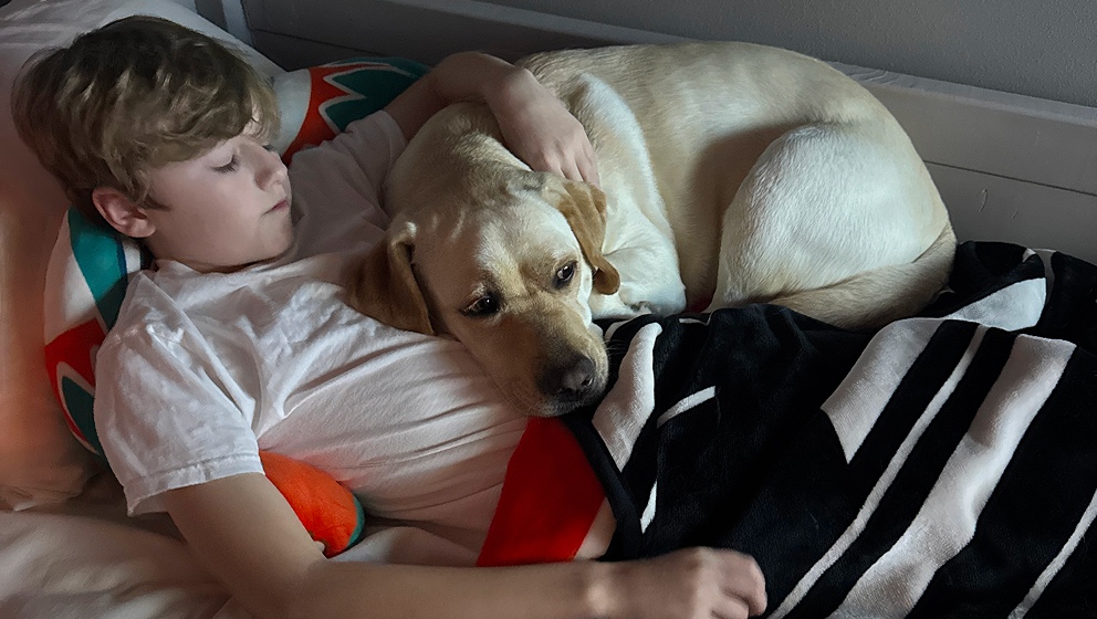 CHAMP Assistance Dogs companion dog providing comfort and companionship to his young handler at home.