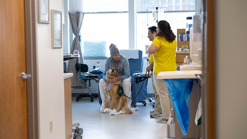 CHAMP Assistance Dogs therapy dog comforting a patient during a hospital infusion center visit.