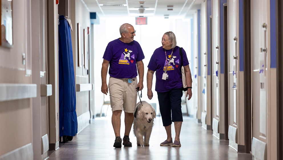 Male and female volunteers wearing CHAMP Assistance Dogs shirts walking a golden retriever on a leash through a care facility corridor.