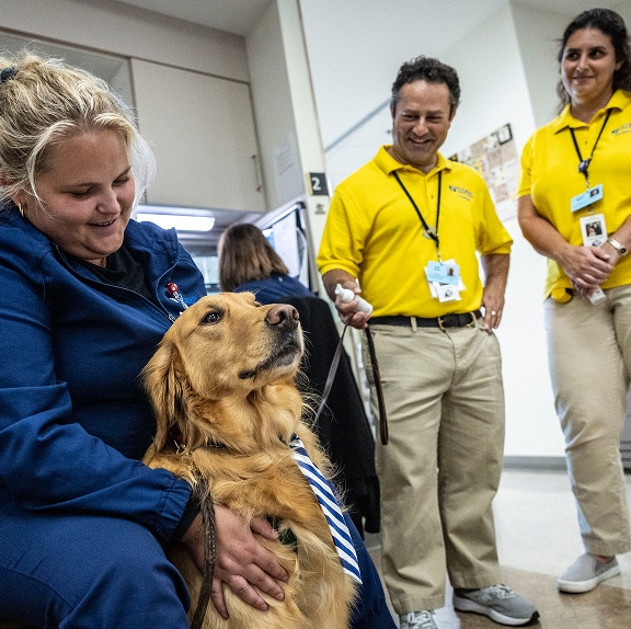 A golden retriever facility dog wearing a blue-and-white striped tie gets petted by a healthcare worker in blue scrubs, while two smiling CHAMP Assistance Dogs volunteers in yellow polo shirts look on.