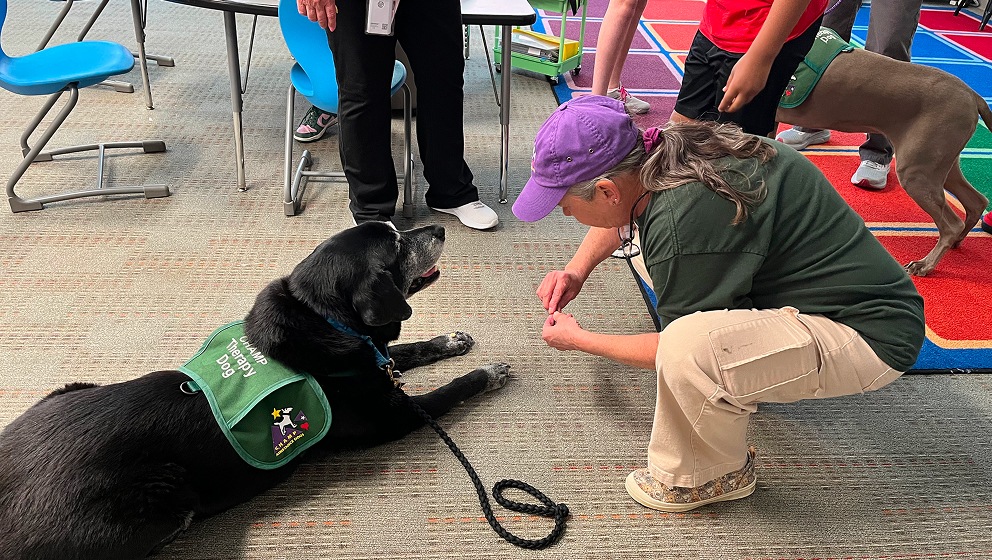 A black dog wearing a green "CHAMP Therapy Dog" vest lies on a classroom carpet, looking up attentively at a handler in a purple cap who is crouching down to give a cue or reward.