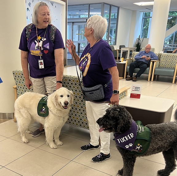 Two female volunteers wearing purple CHAMP shirts stand in a bright healthcare facility lobby with two therapy dogs—a fluffy light Golden Retriever and a dark poodle mix named Tucker wearing a purple bandana.