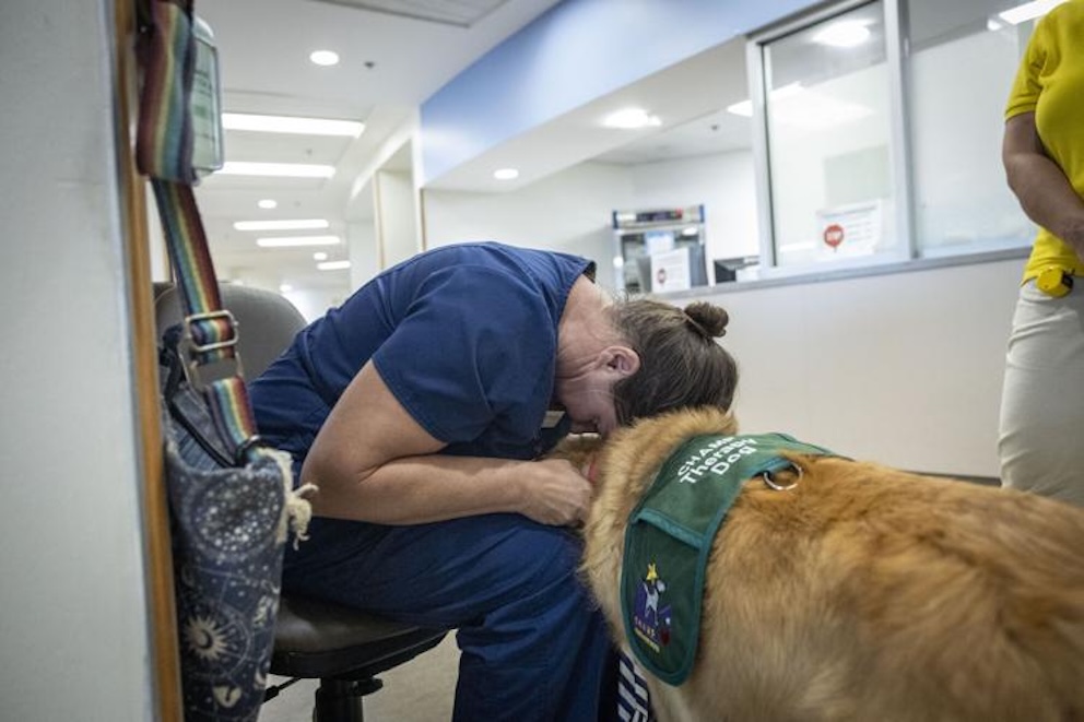 A woman with brown hair sitting in a chair in a hospital, bent over hugging a golden retriever dog.